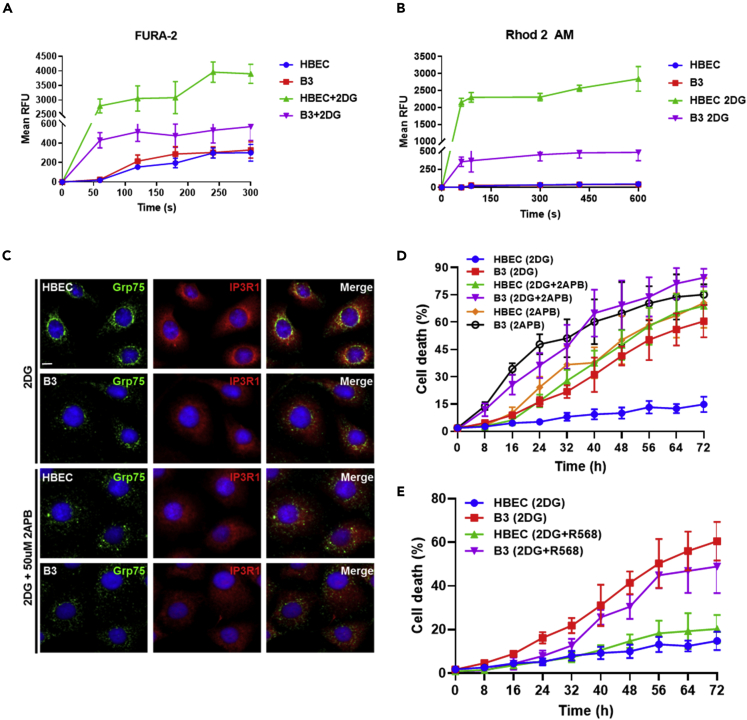 Figure 3