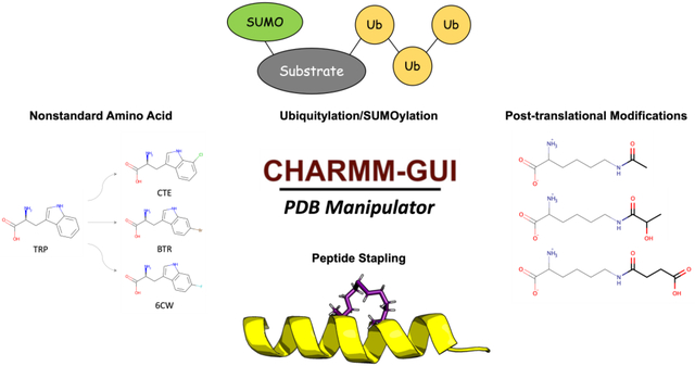 graphic file with name nihms-1871736-f0001.jpg