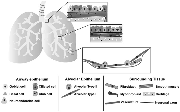 Fig. 1