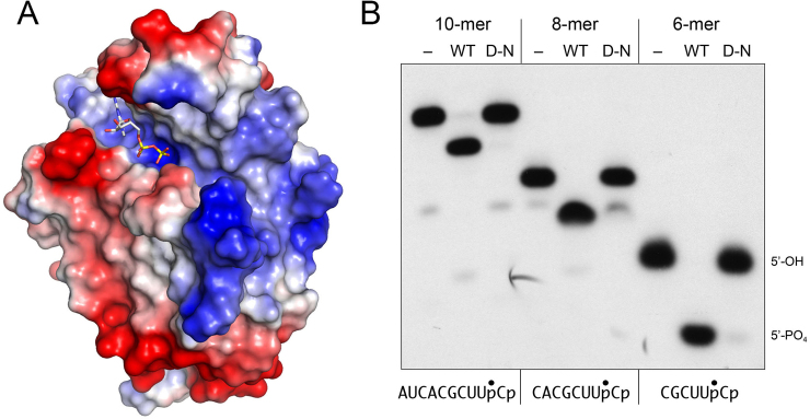 Figure 5.