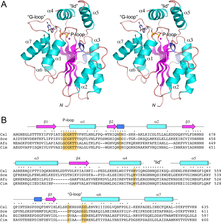 Figure 2.