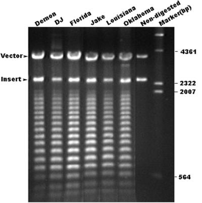 FIG. 8