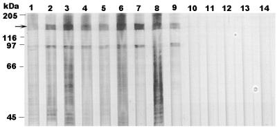 FIG. 10