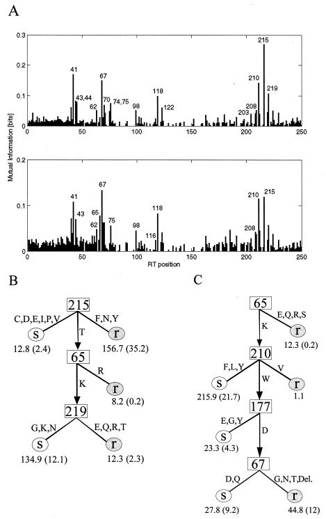 FIG. 2.