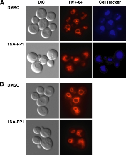 Figure 11.