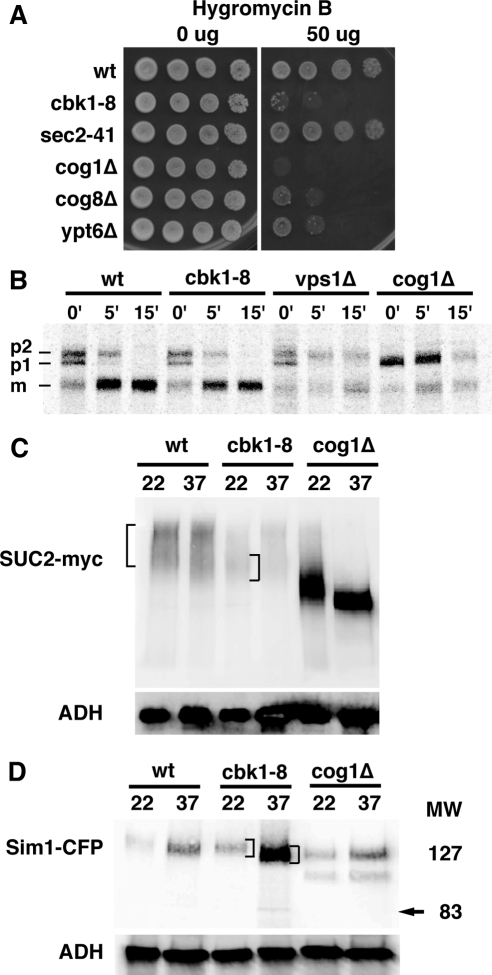 Figure 10.