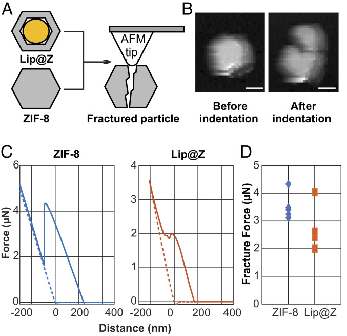 Fig. 4.