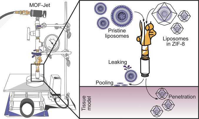 Fig. 1.