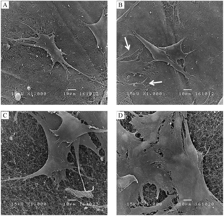 Fig. 5