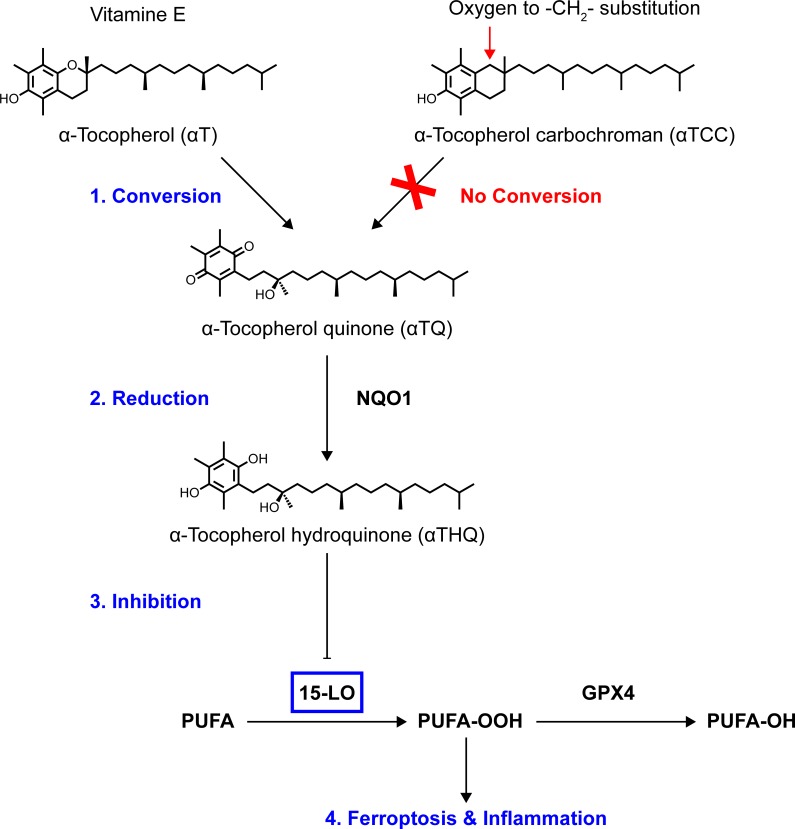 Fig 7