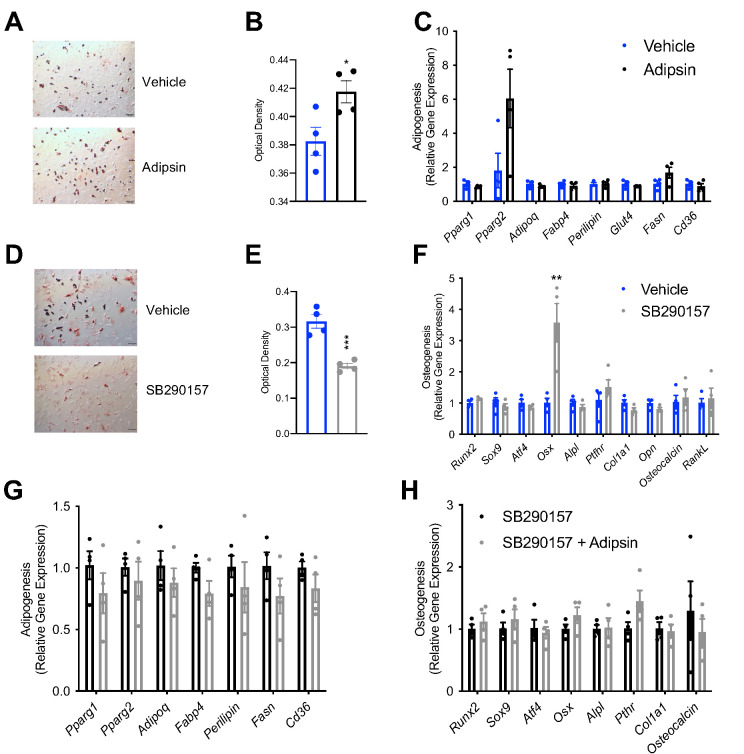 Figure 6—figure supplement 1.