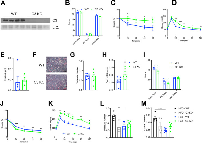 Figure 3—figure supplement 1.