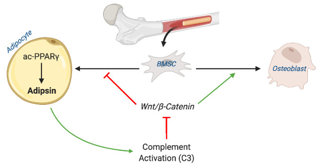 Figure 9.