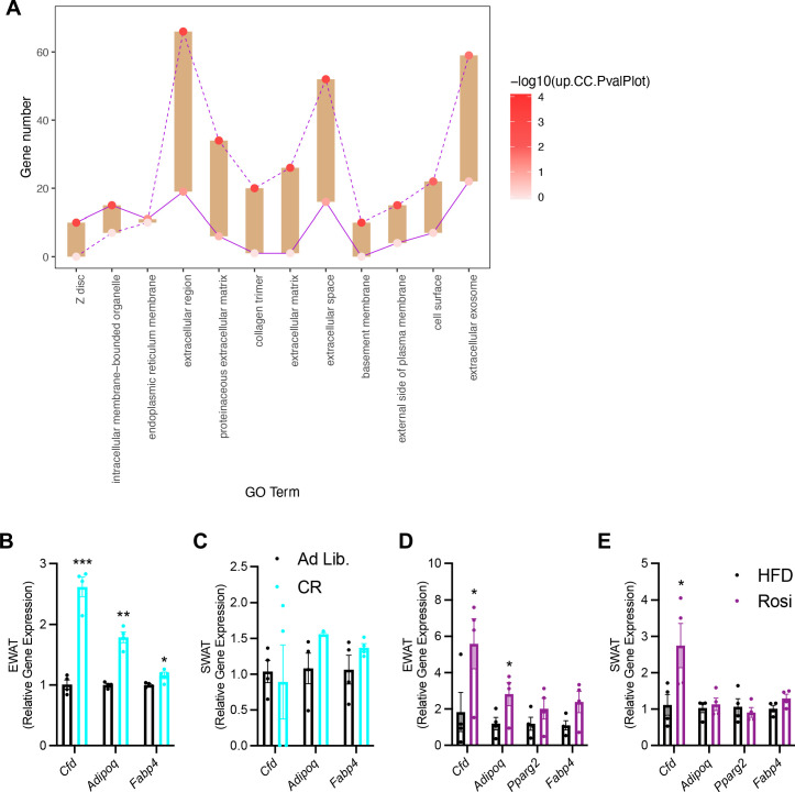 Figure 1—figure supplement 1.