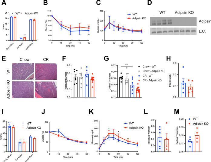 Figure 2—figure supplement 1.