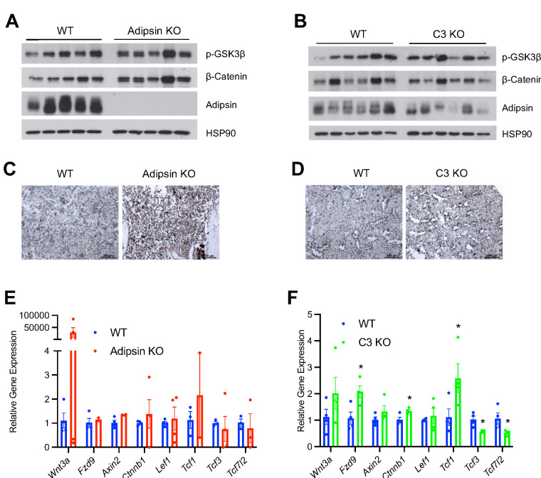 Figure 6—figure supplement 2.