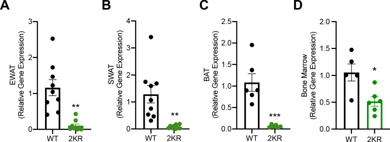 Figure 7—figure supplement 1.