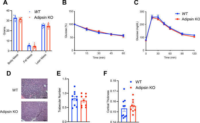 Figure 4—figure supplement 1.