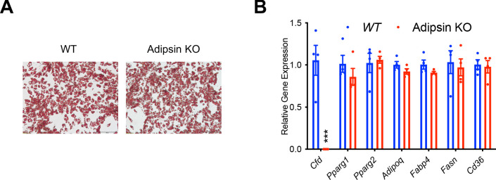 Figure 5—figure supplement 1.