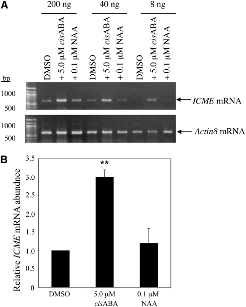 Figure 10.