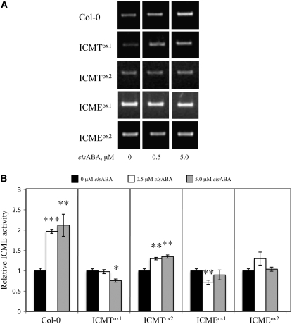 Figure 11.