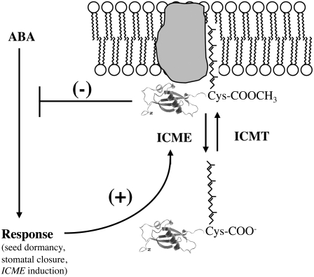 Figure 12.