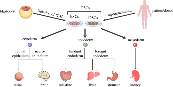 Figure 2.