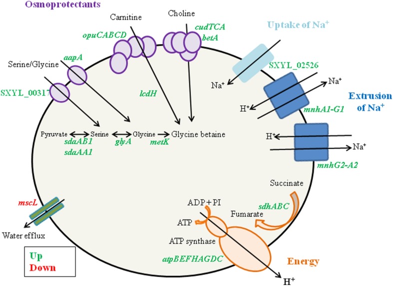 Figure 2