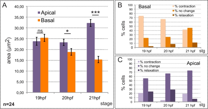 Figure 1—figure supplement 2.