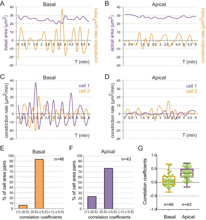 Figure 2—figure supplement 1.