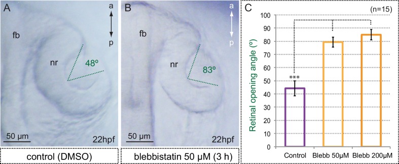 Figure 6—figure supplement 3.