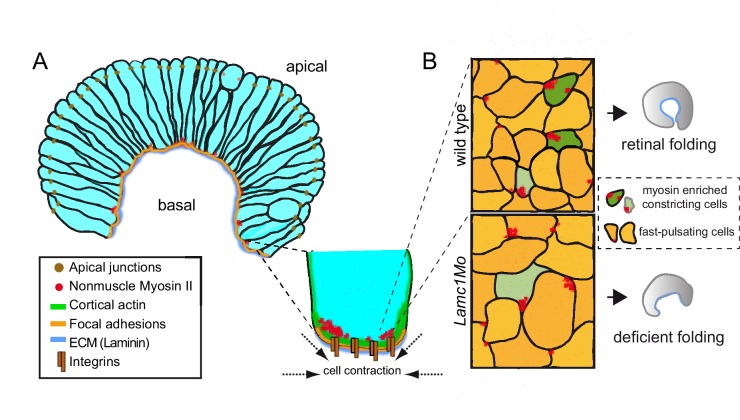 Figure 9.