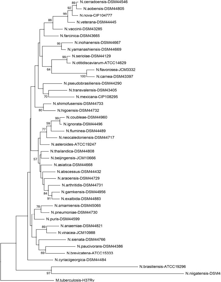 Fig 6