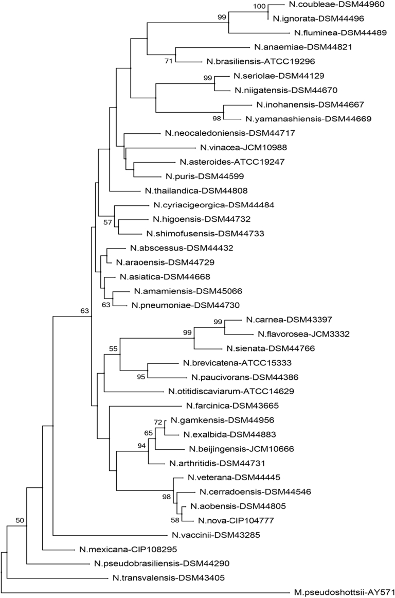 Fig. 2