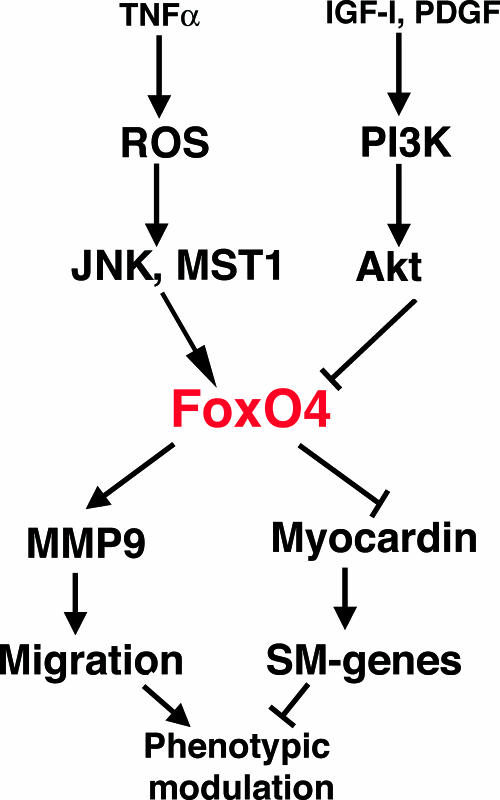 FIG. 7.