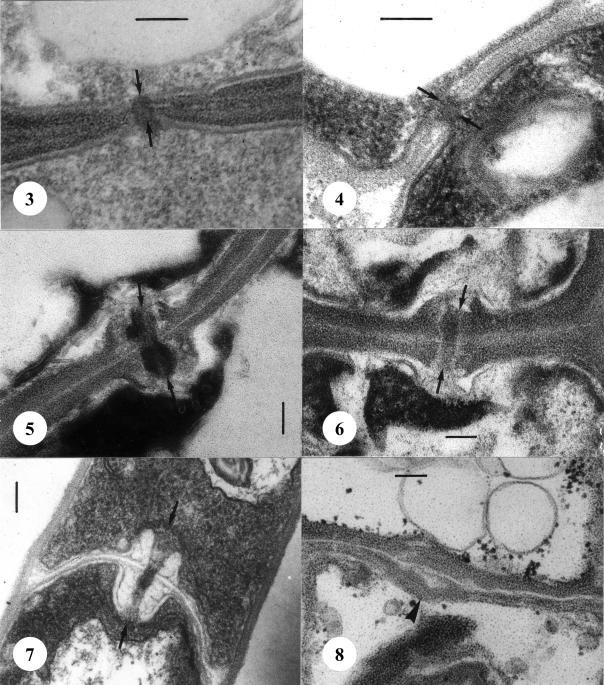 Figs 3–8.