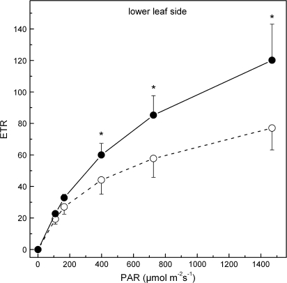 Fig. 7.