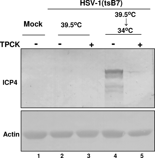 FIG. 8.