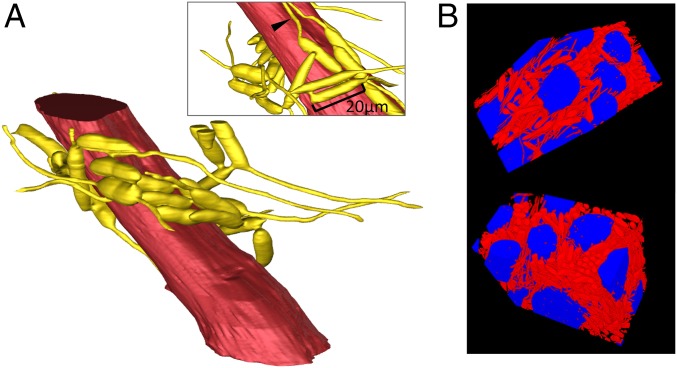 Fig. 4.