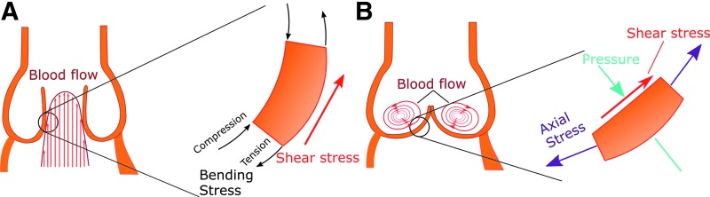 FIG. 2.