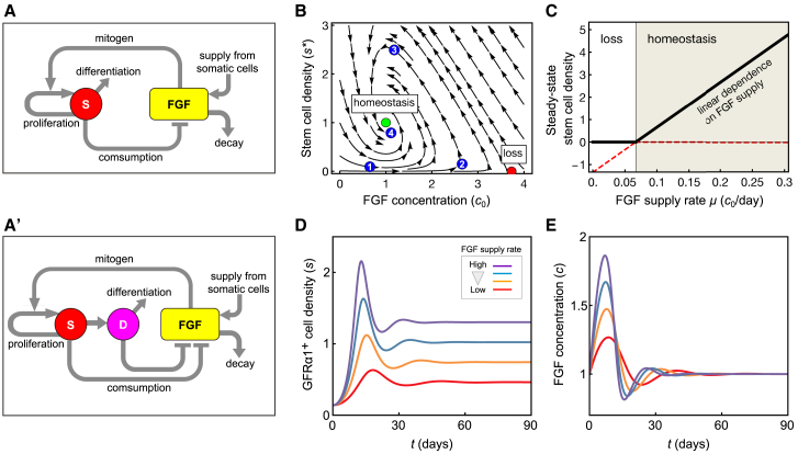 Figure 5