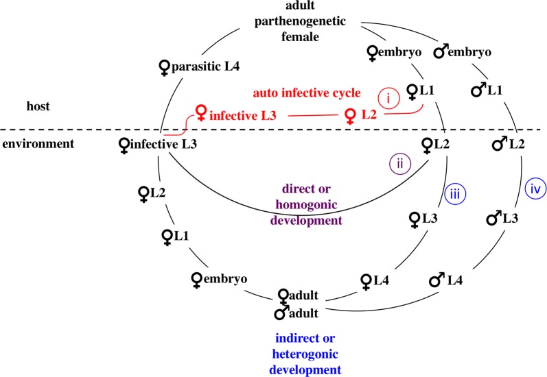 Fig. 1