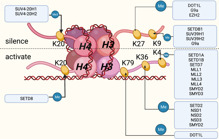 Figure 1