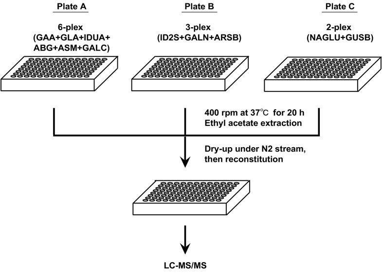 Fig. 1