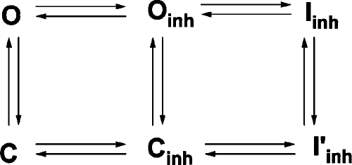 graphic file with name JGP_201010518_Scheme1.jpg