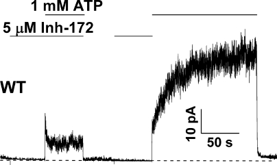 Figure 10.