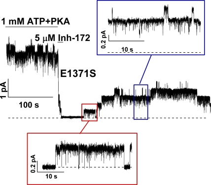 Figure 7.