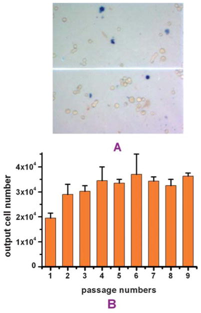 Fig. 9