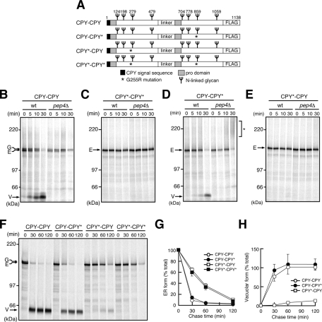 FIGURE 1: