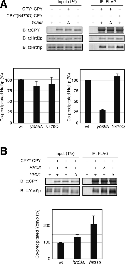 FIGURE 6: